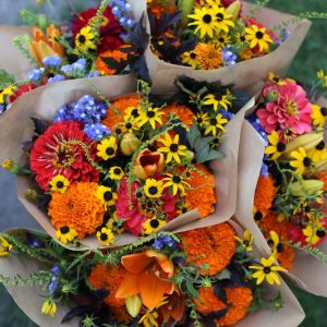 Color and Creativity